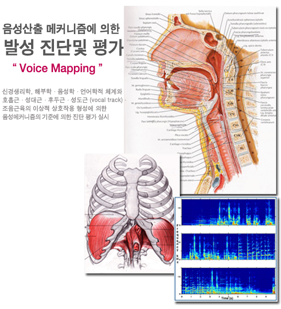 언어치료소개